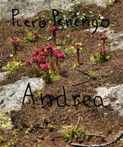 Andrea (eBook, ePUB) - Penengo, Piero