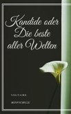 Kandide oder Die beste aller Welten (eBook, ePUB)