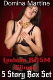 Lesbian BDSM Climax 5 Story Box Set (eBook, ePUB)