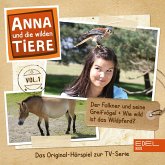 Folge 1: Der Falkner und seine Greifvögel + Wie wild ist das Wildpferd? (Das Original-Hörspiel zur TV-Serie) (MP3-Download)