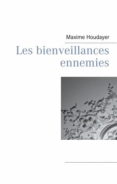 Les bienveillances ennemies (eBook, ePUB)