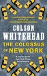 The Colossus of New York (eBook, ePUB) - Bild 1