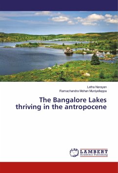 The Bangalore Lakes thriving in the antropocene