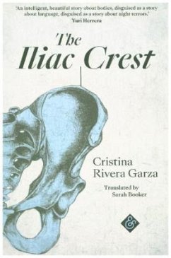 The Iliac Crest - Rivera-Garza, Cristina