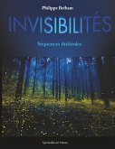 Invisibilités (eBook, ePUB) Invisibilités (eBook, ePUB)