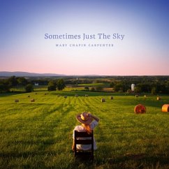 Cover Sometimes Just The Sky