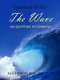 The Wave: An Egyptian Aftermath (eBook, ePUB)
