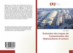 Évaluation des risques de Contamination des Hydrocarbures et actions - Mafopa, Irène