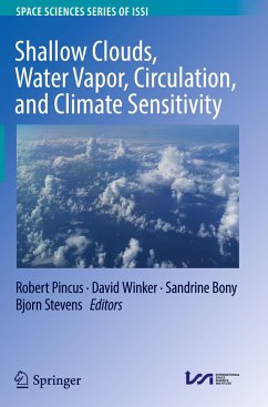 Shallow Clouds, Water Vapor, Circulation, and Climate Sensitivity
