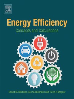 Energy Efficiency (eBook, ePUB) - Martinez, Daniel M.; Ebenhack, Ben W.; Wagner, Travis P.
