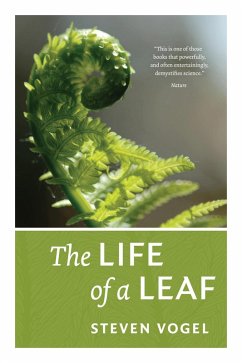 Cover The Life of a Leaf (eBook, ePUB)