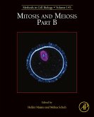Mitosis and Meiosis Part B (eBook, ePUB)