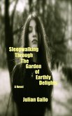 Sleepwalking Through The Garden of Earthly Delights (eBook, ePUB)