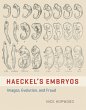Haeckel's Embryos (eBook, PDF) - Bild 1
