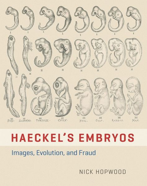 Haeckel's Embryos (eBook, PDF)