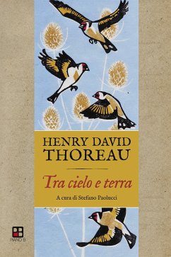 Tra cielo e terra (eBook, ePUB) - David Thoreau, Henry