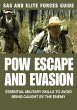 POW Escape And Evasion (eBook, ePUB) - Bild 1