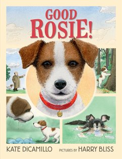 Good Rosie! - DiCamillo, Kate