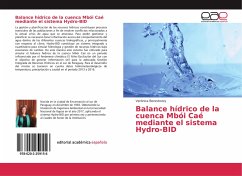 Balance hídrico de la cuenca Mbói Caé mediante el sistema Hydro-BID