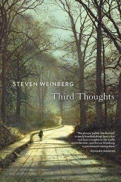 Third Thoughts - Weinberg, Steven