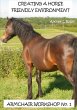 Creating a Horse Friendly Environment -... - Bild 1
