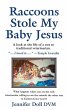 Raccoons Stole My Baby Jesus - Bild 1