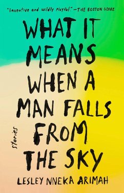 What It Means When a Man Falls from the Sky - Arimah, Lesley Nneka