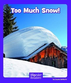 Too Much Snow - Demarin, Layne