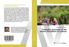 Towards a grammar of the senses: Perception in Lushese - Stüwe-Thanasoula, Marilena