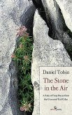 The Stone in the Air