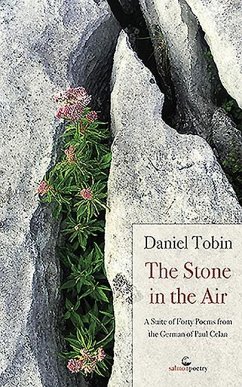 The Stone in the Air - Tobin, Daniel