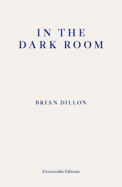 In the Dark Room - Dillon, Brian