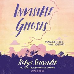 Invisible Ghosts - Schneider, Robyn
