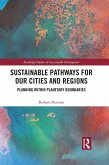 Sustainable Pathways for our Cities and Regions (eBook, ePUB)