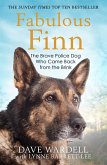 Fabulous Finn (eBook, ePUB)