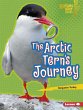 Arctic Tern's Journey (eBook, ePUB) - Bild 1