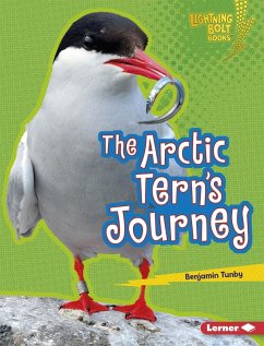 Cover Arctic Tern's Journey (eBook, ePUB)