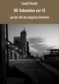 90 Sekunden vor 12 (eBook, ePUB)