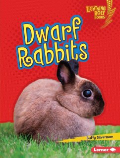Dwarf Rabbits (eBook, ePUB) - Silverman, Buffy