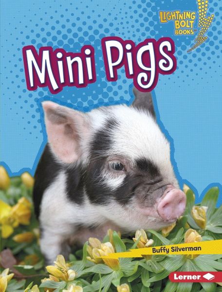 Mini Pigs (eBook, ePUB)