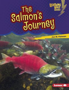 Cover Salmon's Journey (eBook, ePUB)