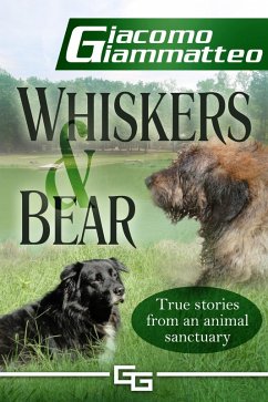 Whiskers and Bear (eBook, ePUB) - Giammatteo, Giacomo