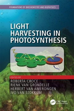 Light Harvesting in Photosynthesis (eBook, ePUB)