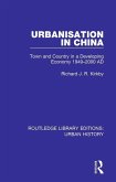 Urbanization in China (eBook, PDF)
