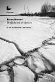 Perdido en el Ártico (eBook, ePUB)