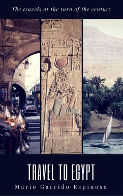 Cover The travels at the turn of the century (eBook, ePUB)