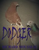 Dodger (eBook, ePUB)