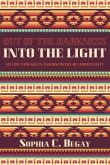 Out of the darkness into the light (eBook, ePUB)