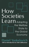 How Societies Learn (eBook, ePUB)