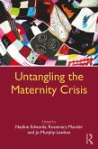 Untangling the Maternity Crisis (eBook, ePUB)